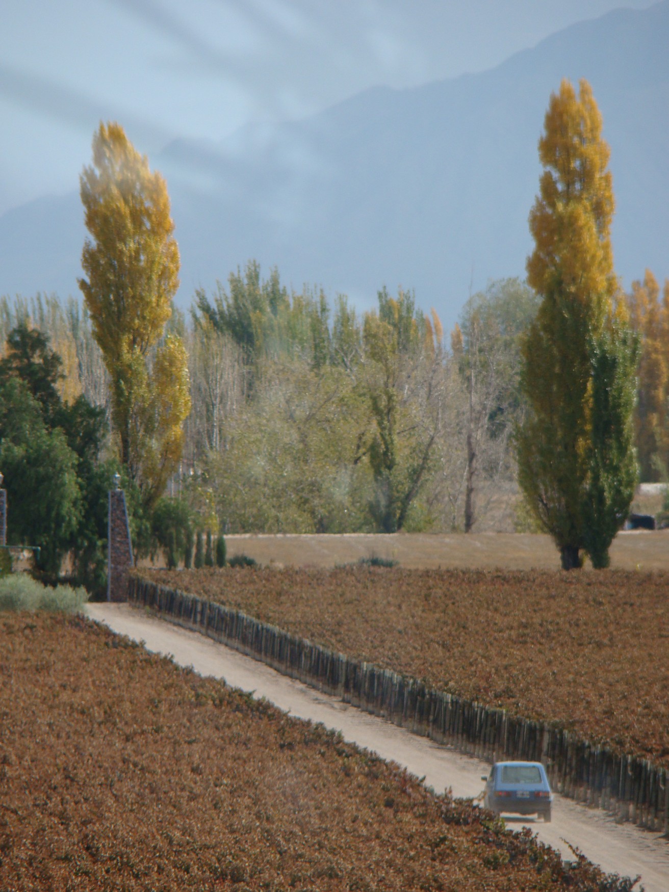 Mendoza Wine Tour: Belasco de Baquedano