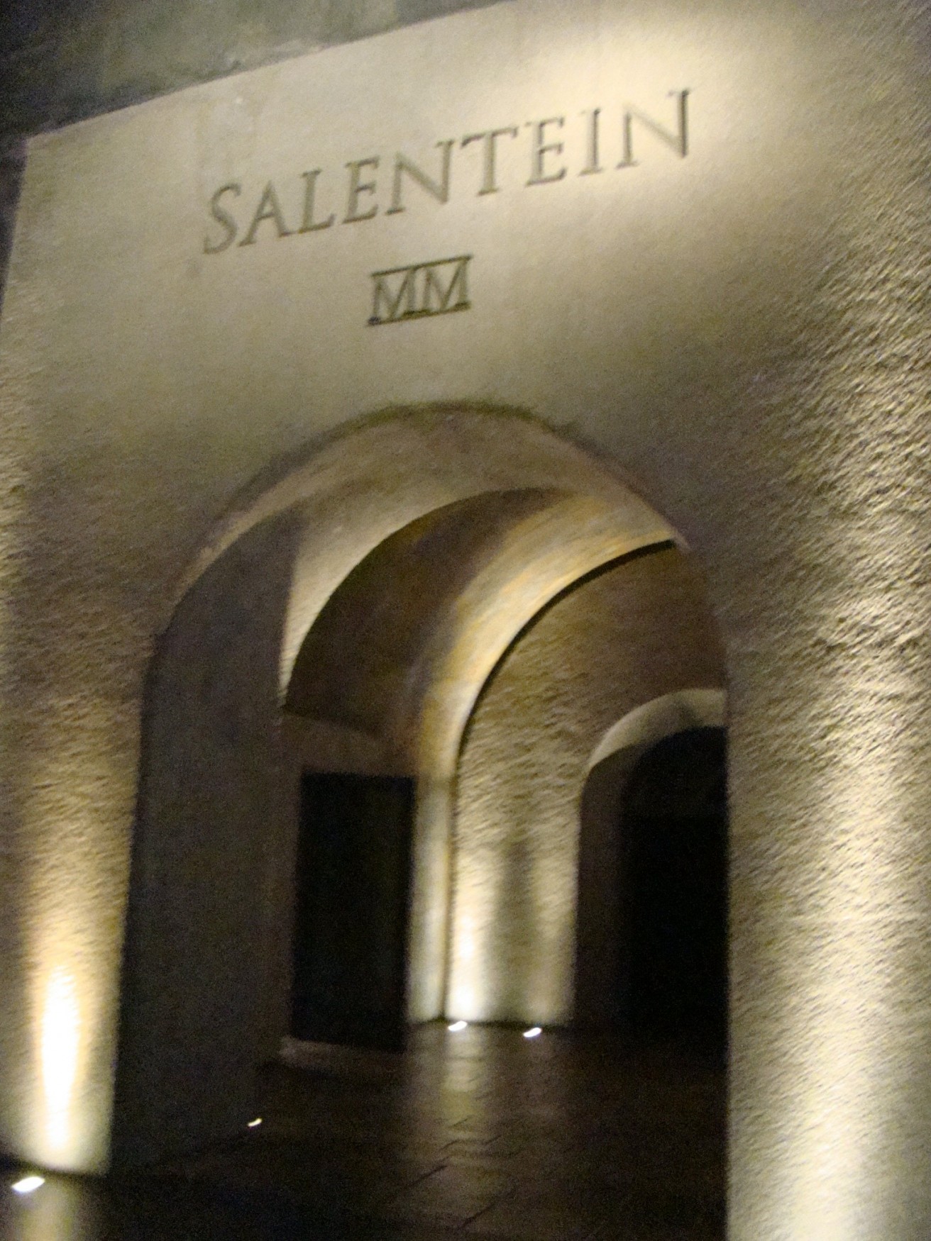Mendoza Wine Tour: Salentein