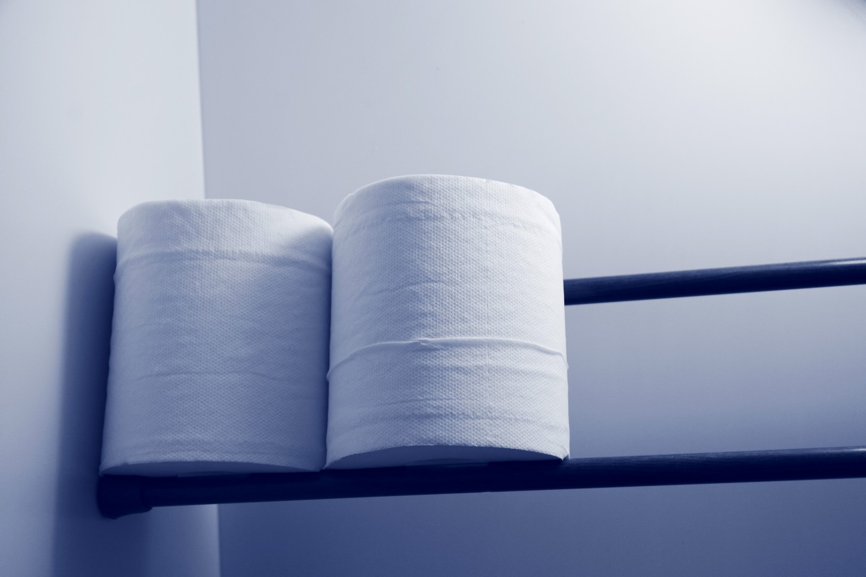 a pair of toilet paper rolls on a metal rack