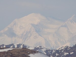 Views of Mt McKinley from Denali National Park