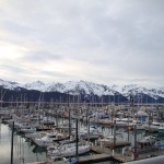 a marina with many boats and mountains in the background