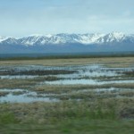 a marsh with snow covered mountains in the background