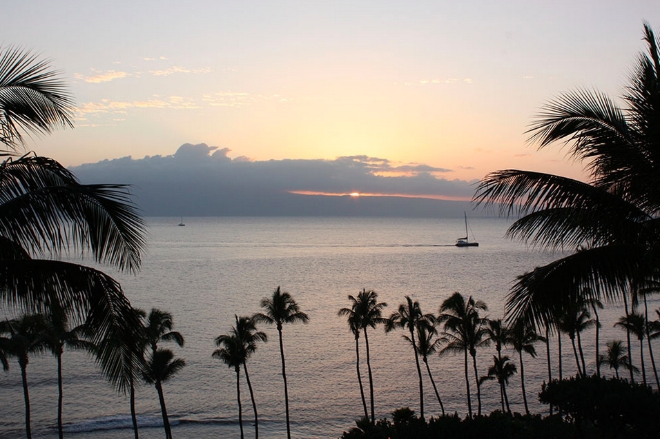 a sunset over a body of water with palm trees