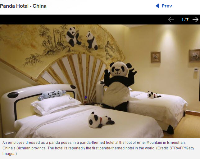 a person in a panda garment on a bed