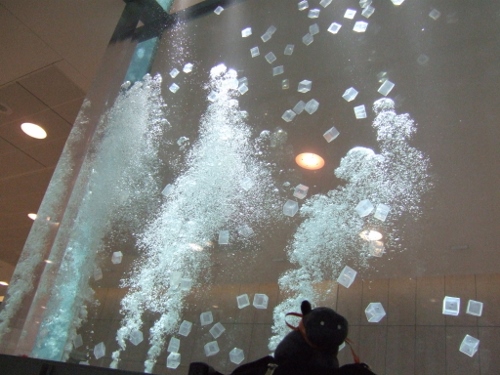 a large glass wall with bubbles