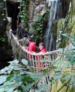a group of people on a rope bridge