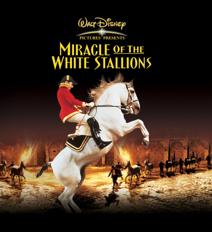 miracle of the white stallions