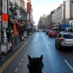 a horse on a street