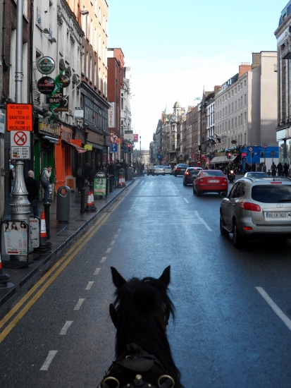 a horse on a street