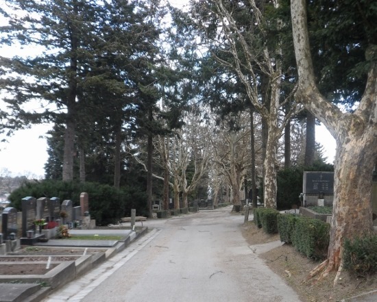 a road with trees and gravestones