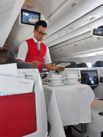 Austrian Airlines Business Class Soup Ladle