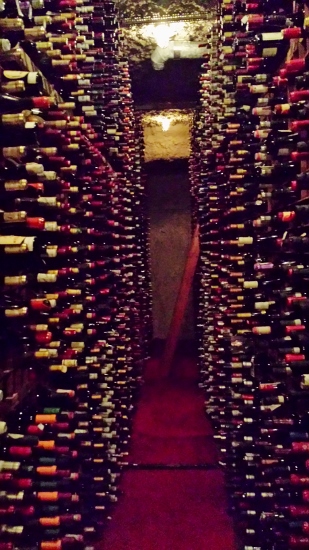 a rows of wine bottles