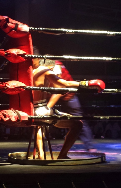 a man in a boxing ring