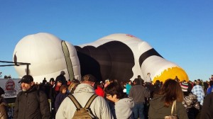 a large group of people standing around a giant inflatable cow