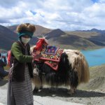 a woman with a mask and a yak
