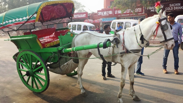 Taj Mahal Agra horse buggy