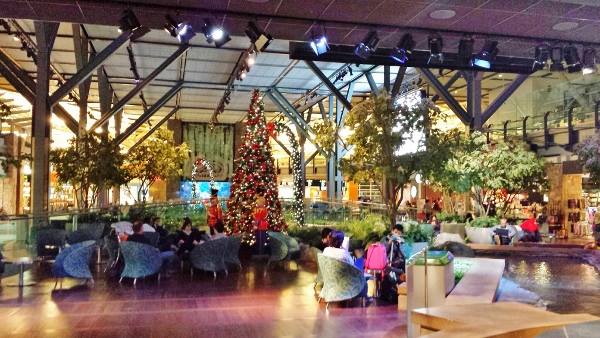 a group of people sitting in chairs in a room with a christmas tree