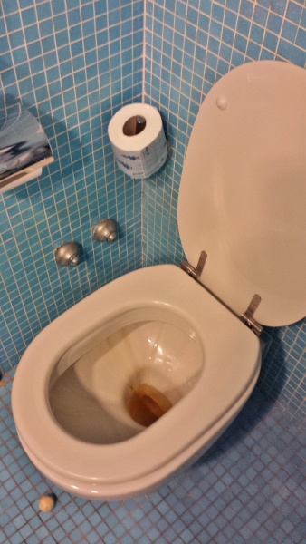 Sheraton Catania Hotel & Conference Center King Sea view Toilet stains