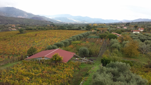 Sicily Wine Tour Fuedo Vagliasindi view