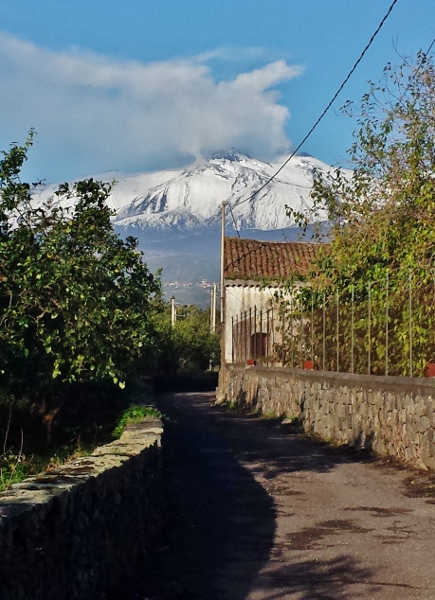 Zash Country Boutique Hotel Sicily Driveway Etna View