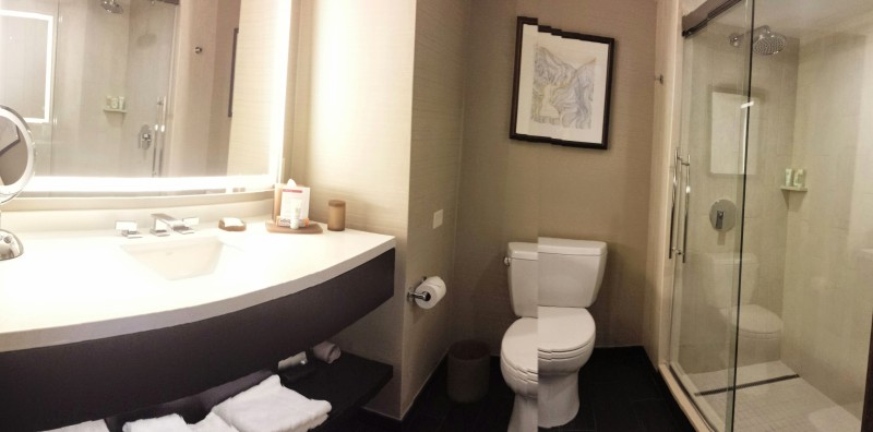 Grand Hyatt Denver Corner Room with a View bathroom