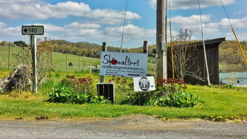 Old Hill Cider Timberville VA signage