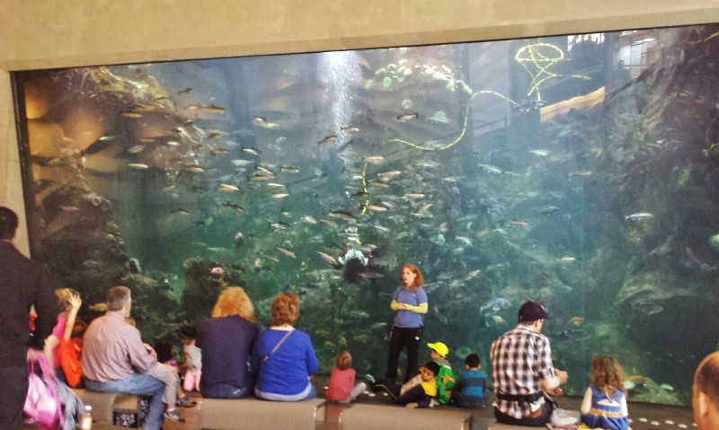 Seattle Aquarium lobby tank