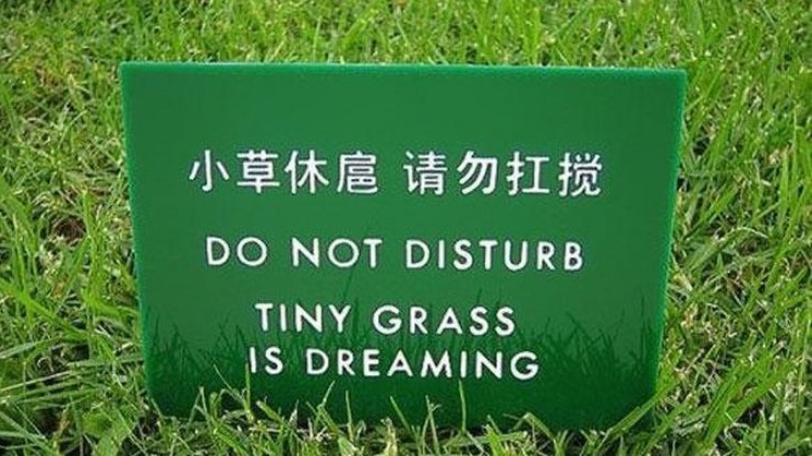 a sign on the grass