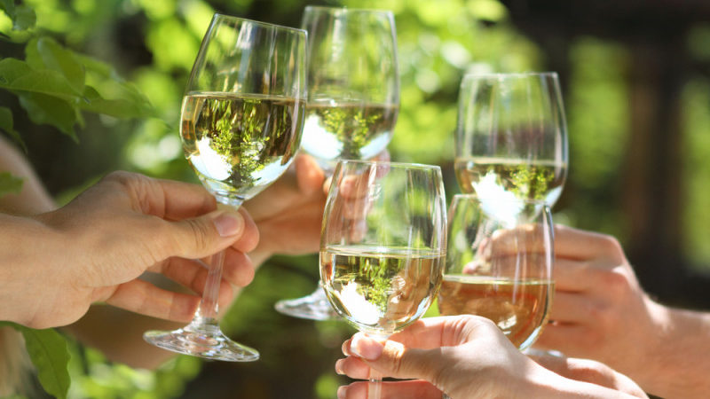 a group of hands holding wine glasses