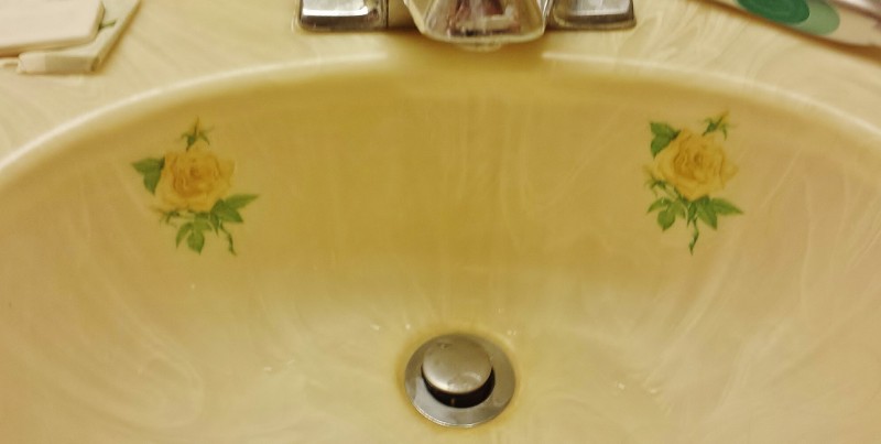 “…And Enjoy the Roses In The Sink”