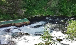 a boat in a river