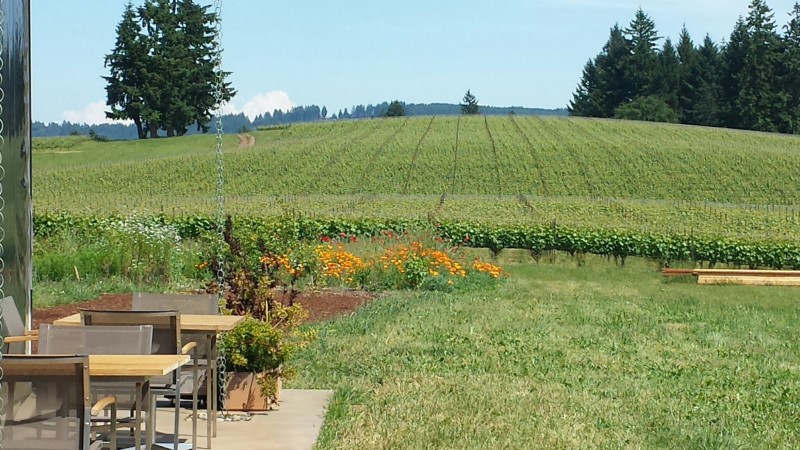 Where to Taste: Willamette Valley Wineries