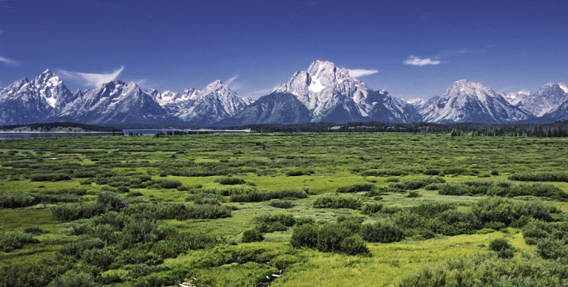 The Race to Find a Room in Jackson Hole