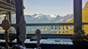 a bar with a view of mountains and a white cat