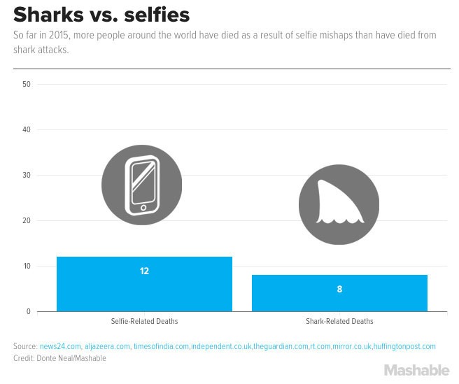 mashable selfie vs shark attack