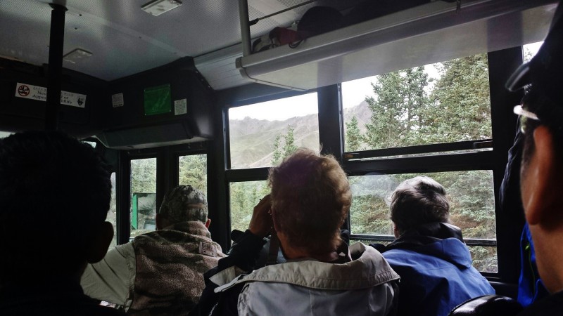 people sitting in a bus looking out the window