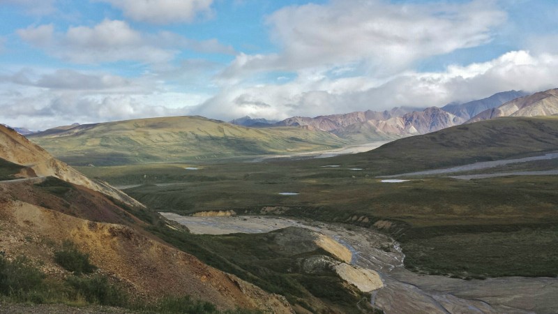 Denali Park: To the End of the Road and Back