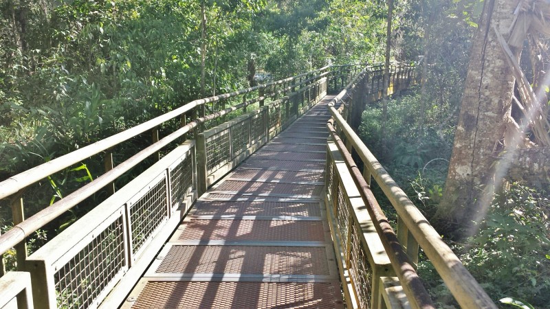 Iguazu Falls Lower Circuit Trail pathway