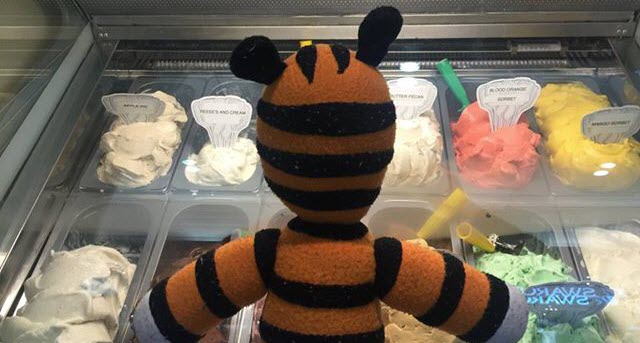 a stuffed animal in a display case
