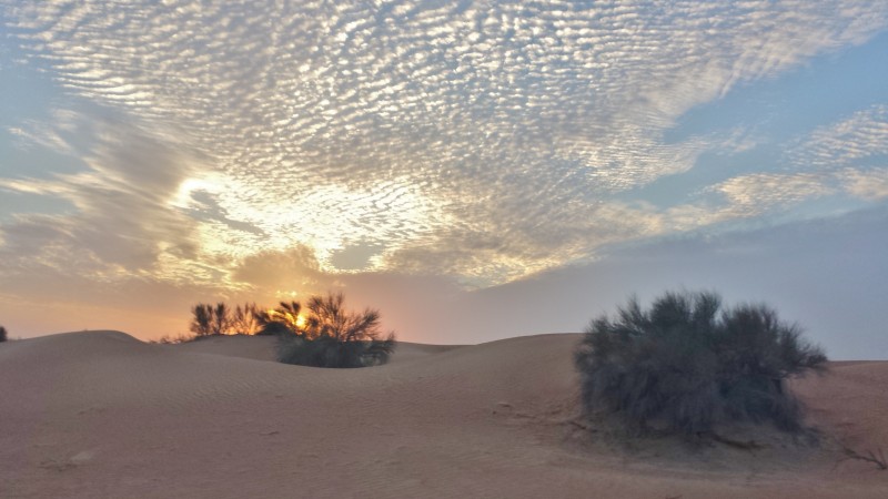 sunset in the desert al maha resort dubai