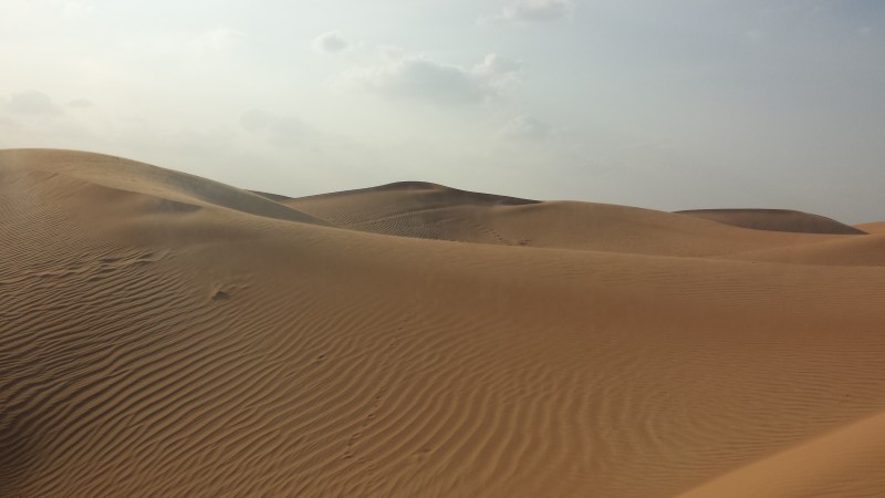 Al Maha sand dune nature drive