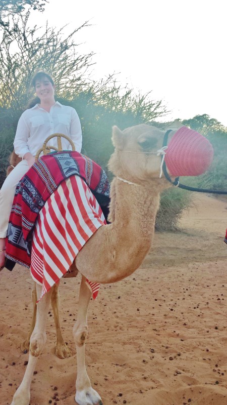 Al maha desert resort camel ride keri