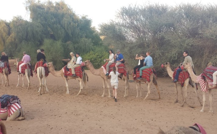 Al maha desert resort camel train