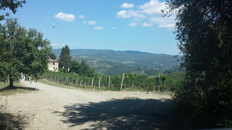 Road to Casanuovo di Nittardi