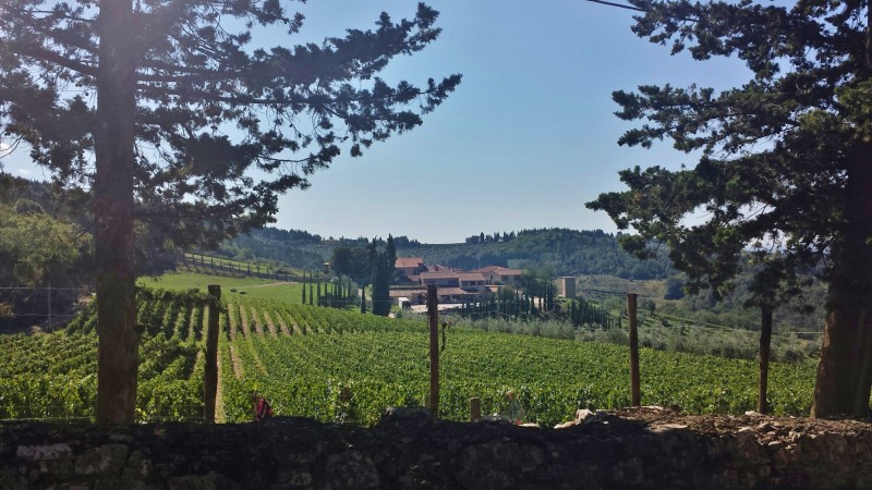 Tuscany Trip Report: Wine Tour of Chianti