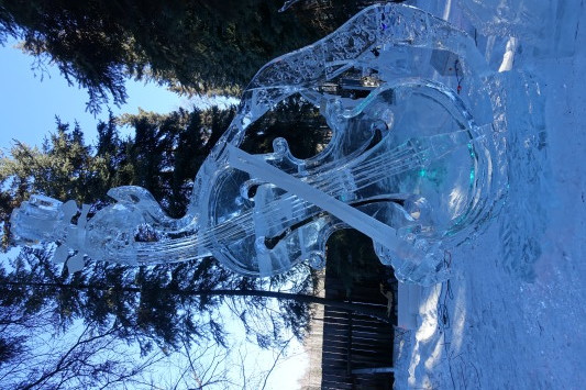a ice sculpture of a cello