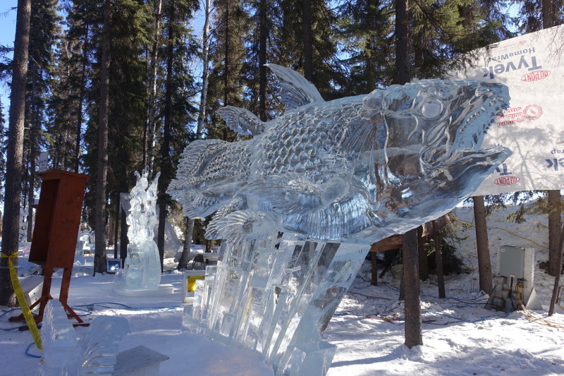 a fish made of ice