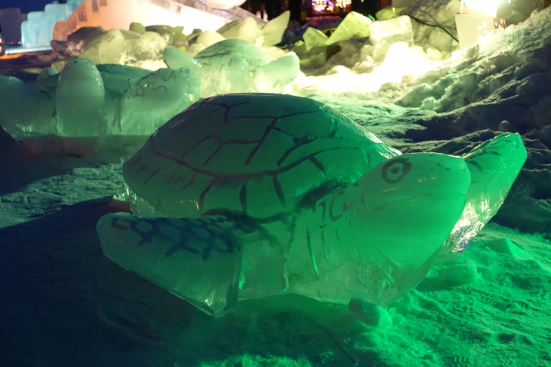 a turtle made of ice