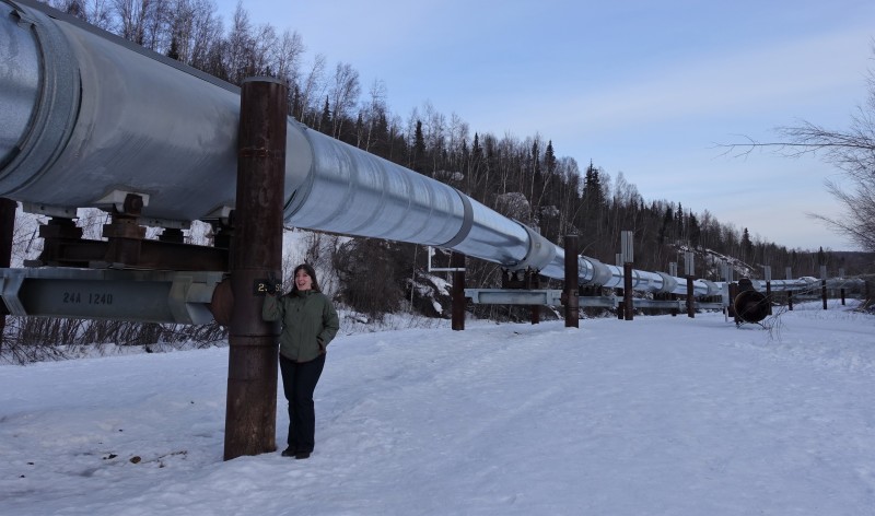 Keri trans-alaska pipeline viewing fairbanks