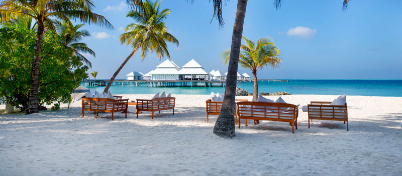 a group of wooden benches on a beach with palm trees and a body of water